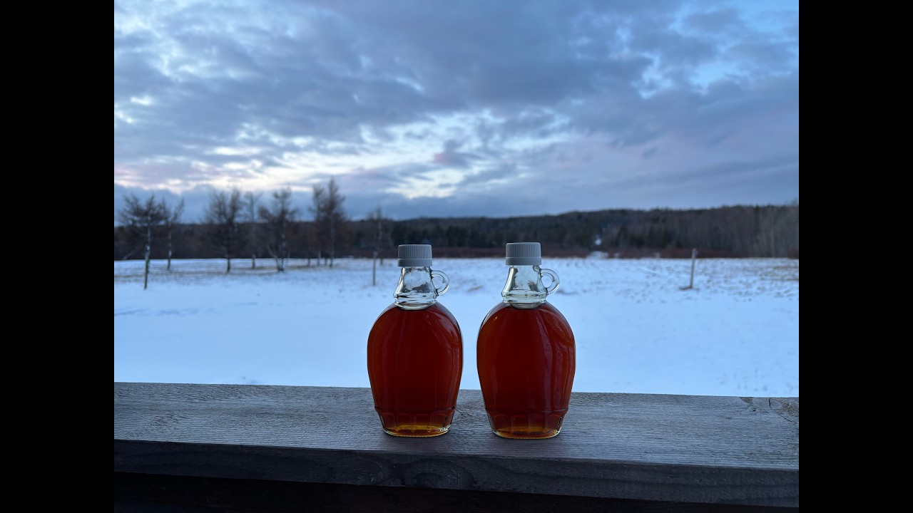 Our first boil of the 2026 maple syrup season.