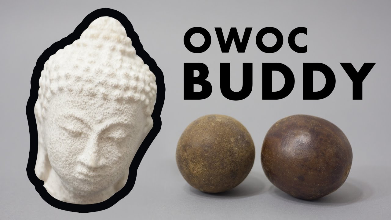 19# Owoc Buddy | Monk Fruit | Luo Han Guo - freakyfoodtv