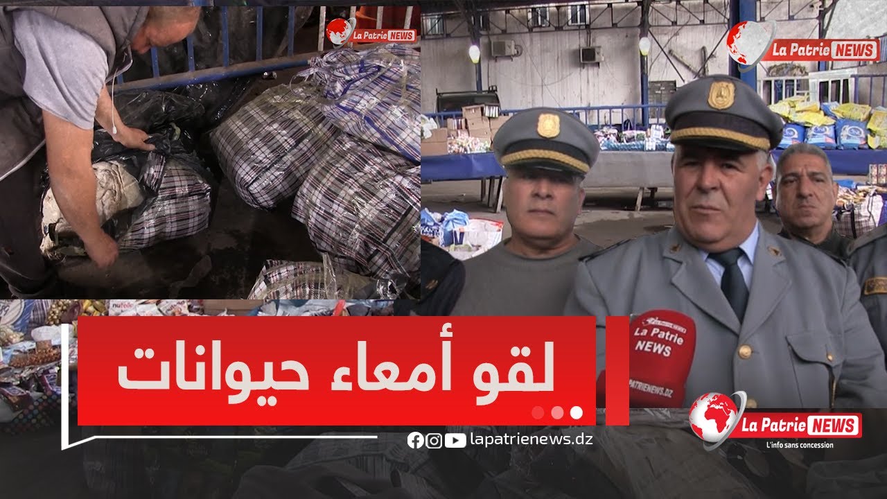 لقوعندهم أشياء كثيرةمن بينها أمعاء حيوانات🤔المفتش الرئيسي لفحص المسافرين بميناء سكيكدة يكشف التفاصيل