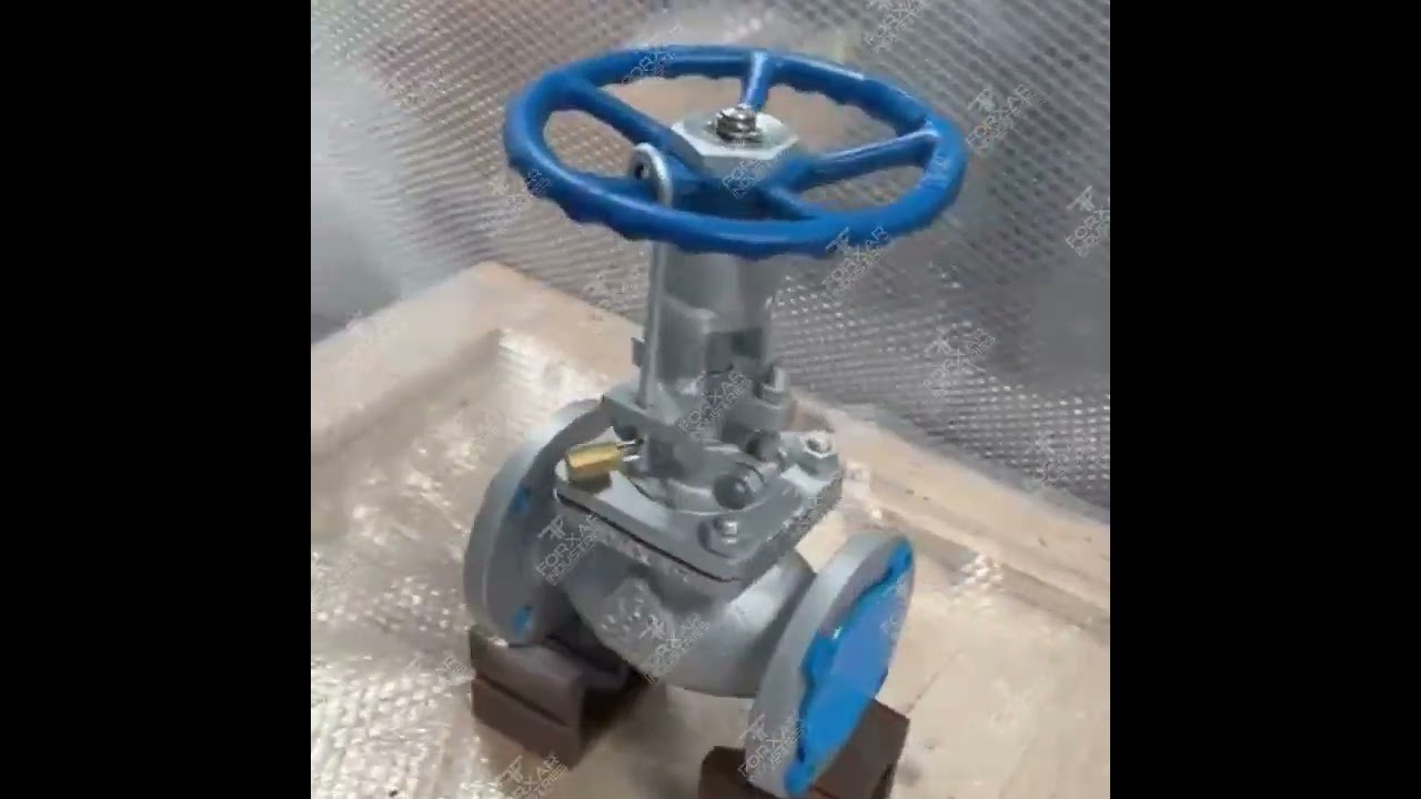 Unboxing and Review: Forxar's High-Performance Bellow Sealed Globe Valve | Forxar Industries