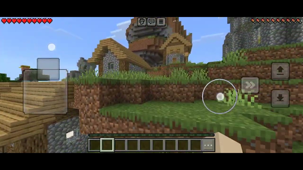 Minecraft video first