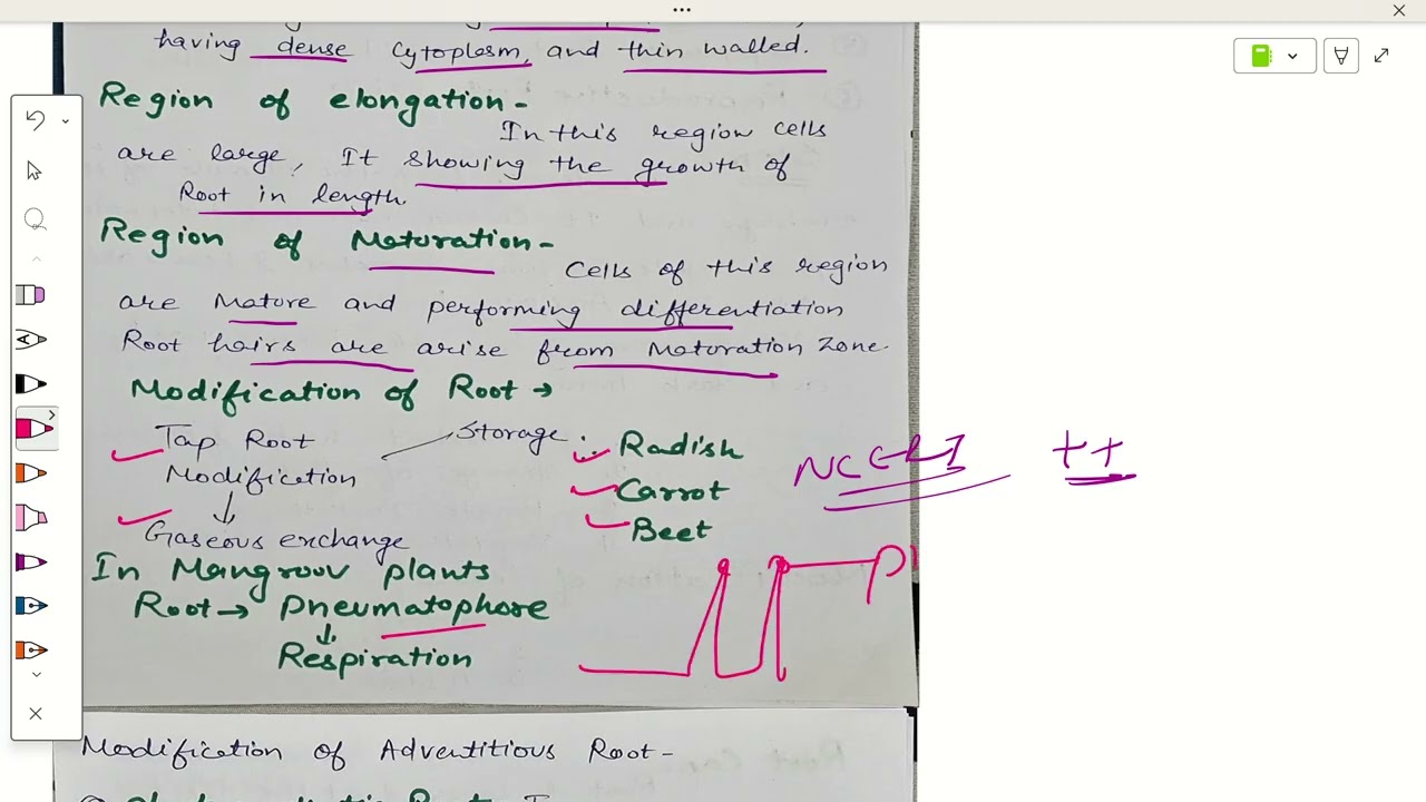Morphology in flowering plants