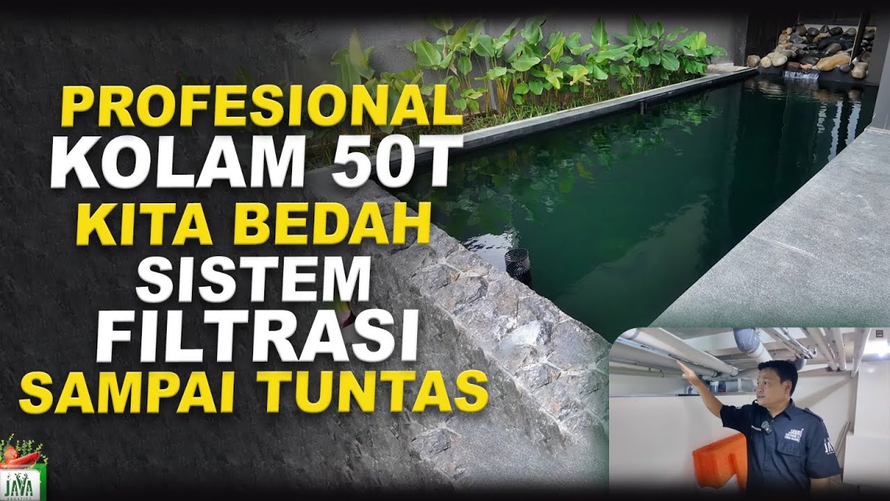 FILTERASI KOLAM KOI PROFESIONAL DI RUMAH & UPDATE KOLAM HIU 8 METER