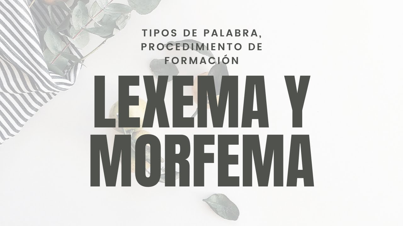 Análisis morfológico, tipo de palabra, procedimiento de formación examen Acceso a la Universidad +25