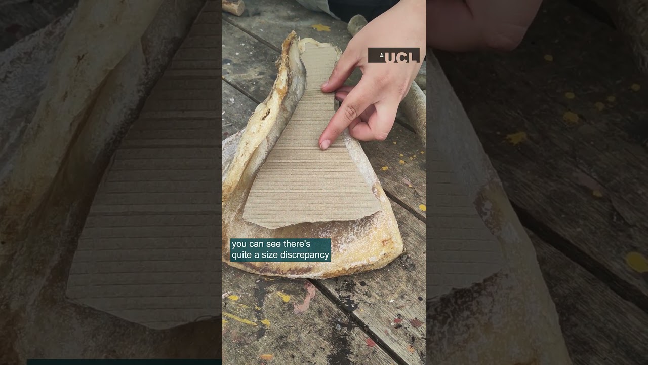 Neolithic scapula shovels with Archaeologist Charli | ArchaeoTech MicroLearning