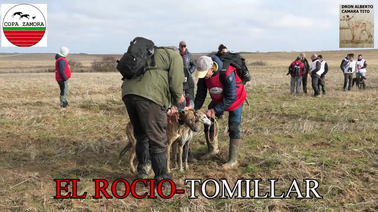 Copa Zamora Galgos 2025 - Octavos (Cámara + Dron)