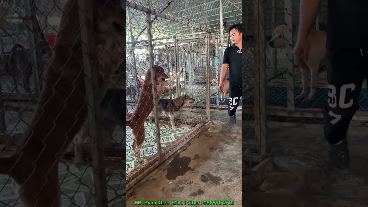 Cùng Dạo Qua Khuôn Viên 2,3,4 Của Đăm Khao