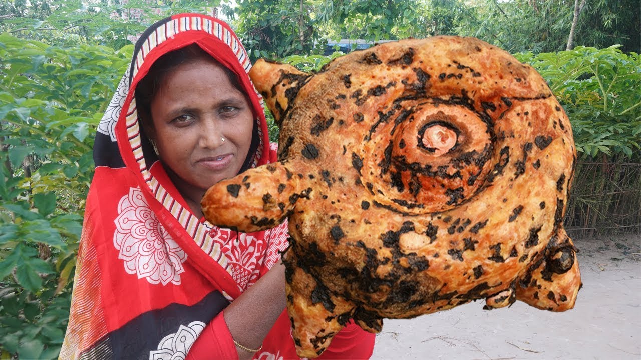 Elephant Foot Yam With Mutton Curry Cooking - Ol Kochur Recipe - Harvesting Giant Taro LUNCH ROUTINE