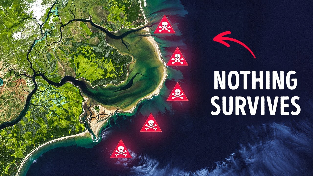 North Carolina Coast Eats Ships Alive - What&rsquo;s Going On There?