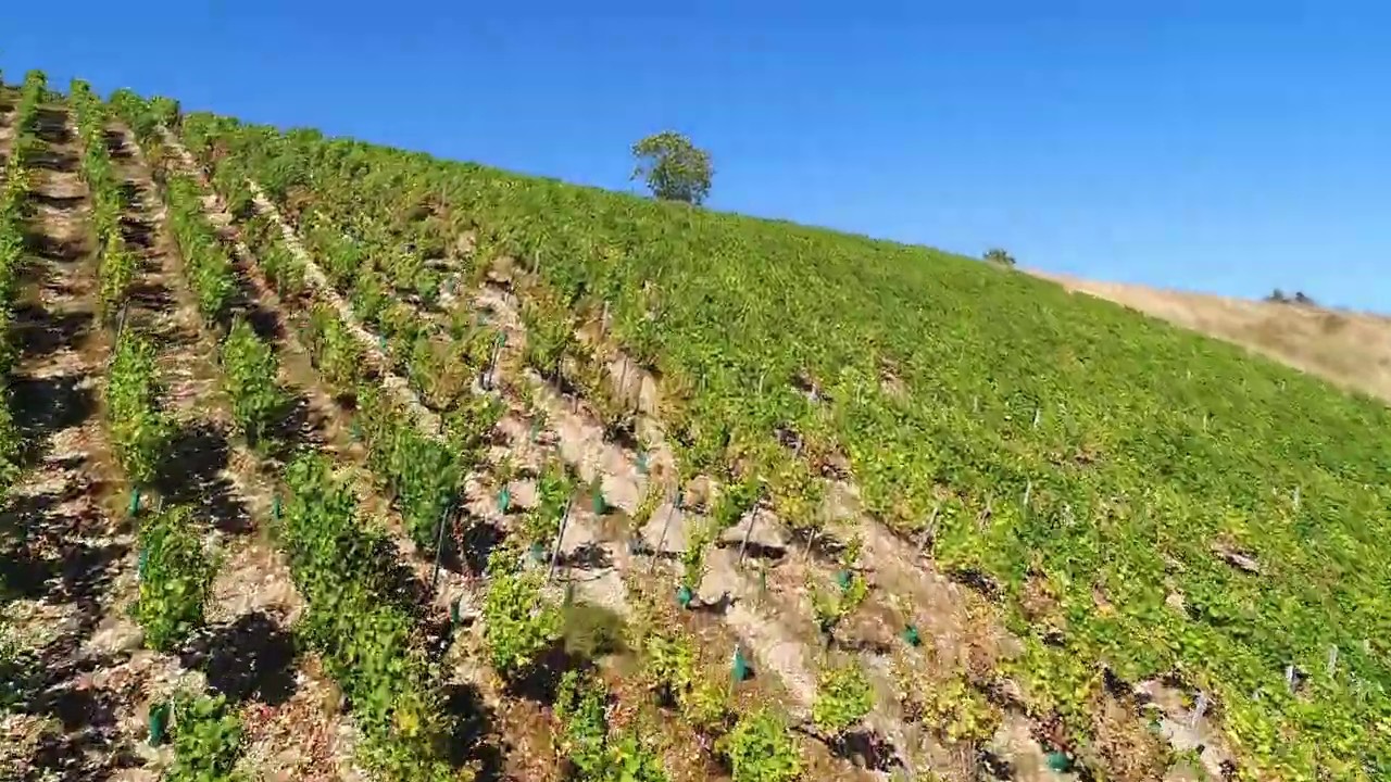 Domaine Joseph Mellot Sancerre