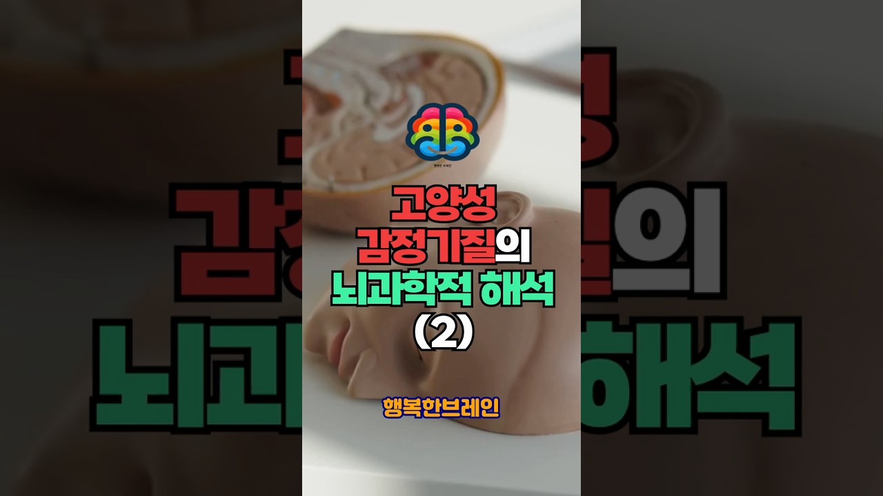 고양성 감정기질의 뇌과학적 해석(2). #뇌과학 #HSS뇌구조 #도파민중독 #신경심리학 #모험가유전자#전전두엽훈련 #편도체반응 #측좌핵활성 #진화적의미 #성격과학