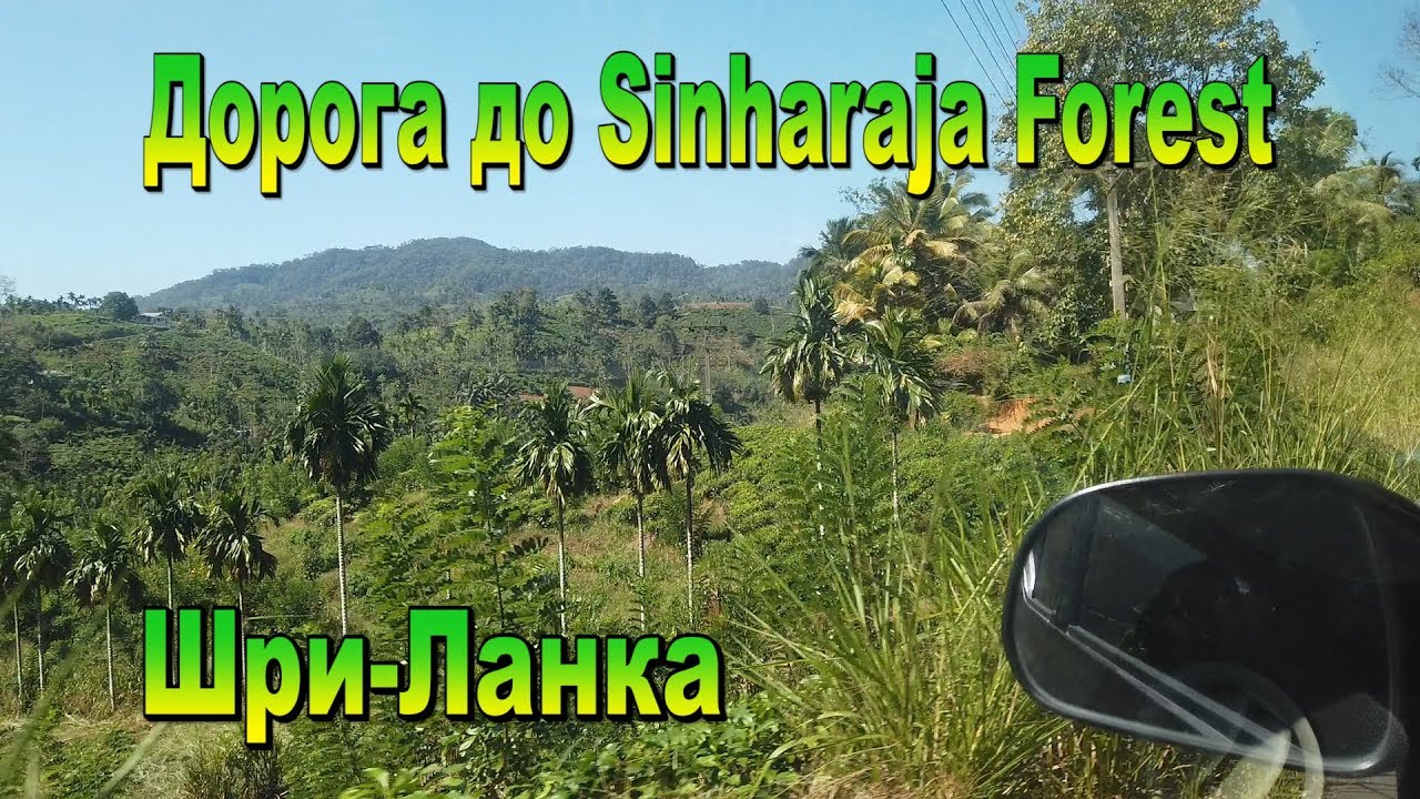 Дорога из Мириссы до Синхараджа Форест Шри-Ланка