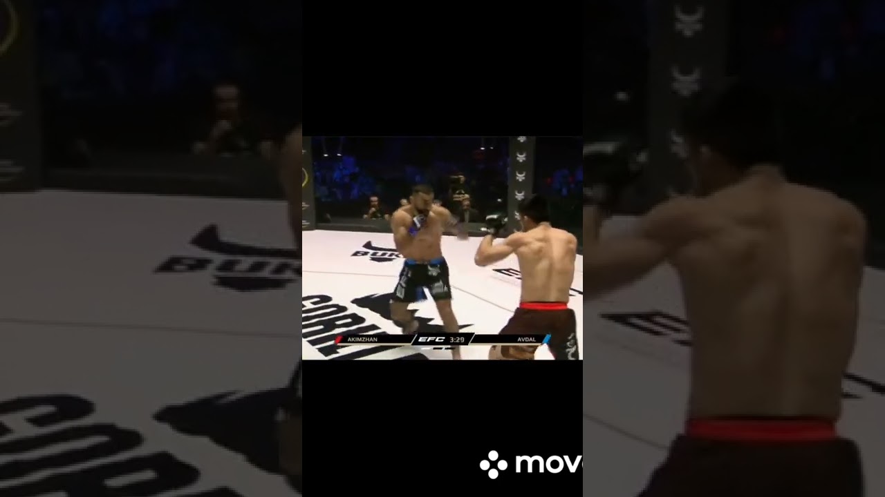 Что за тигр этот Жасулан Акимжан #shorts