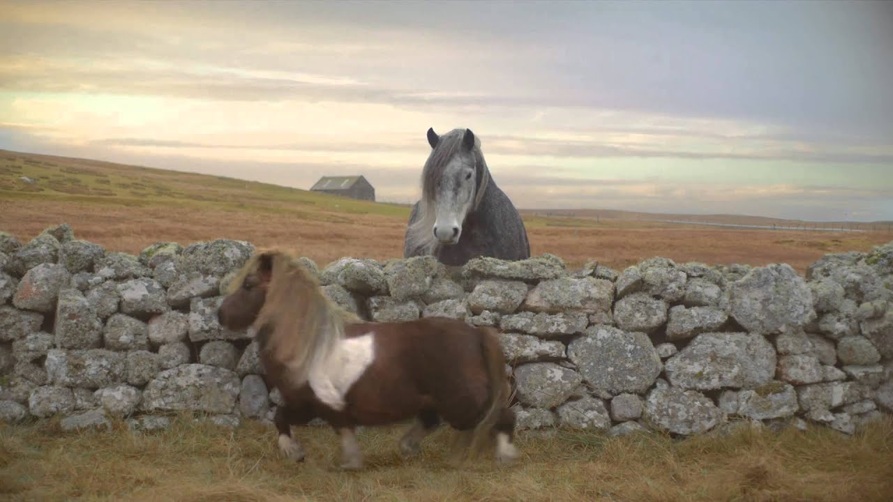 Three : The Pony [Commercial]