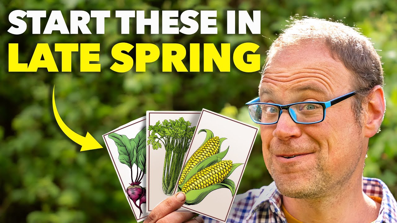 10 культур, которые нужно посадить как можно скорее!