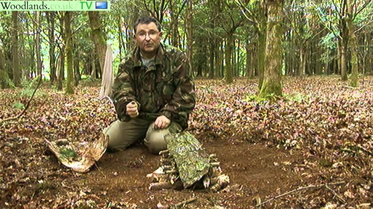 Bushcraft - Pine needles and pine cones