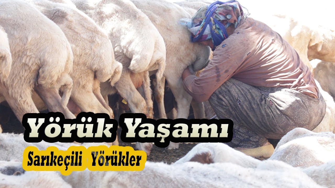 Toros Dağlarının Son Yörükleri.. I  Belgesel..