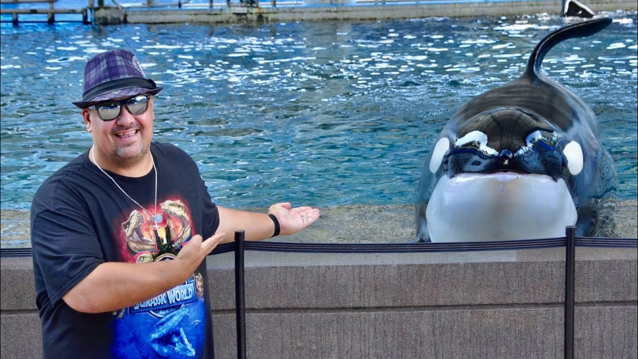 The Killer Whale Up-Close Tour At SeaWorld Orlando 10.15.21