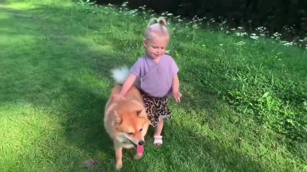 1 year old and Pomsky Dog are BESTIES❤️  Feel Good Video
