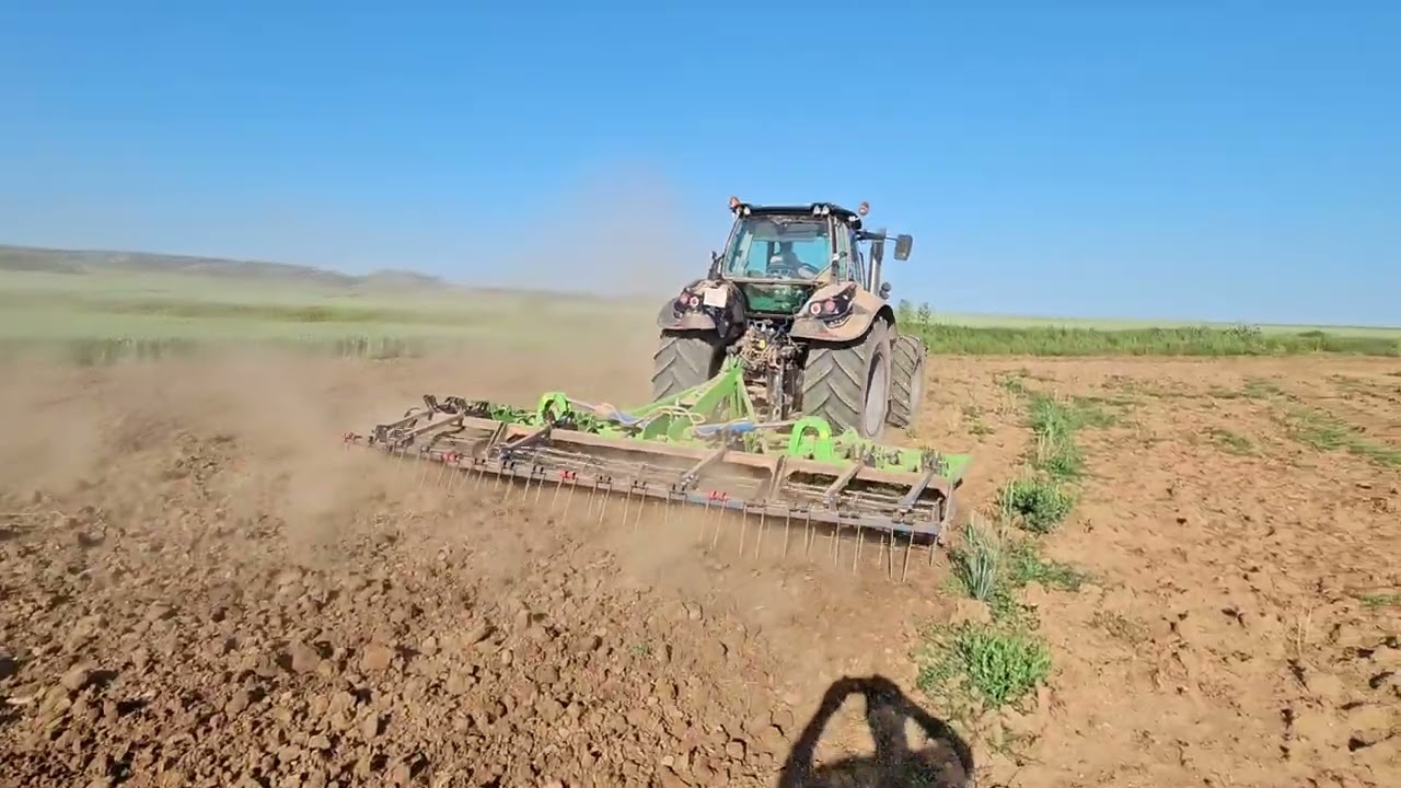 Sembrando girasol campaña 2025 Burgos (España)