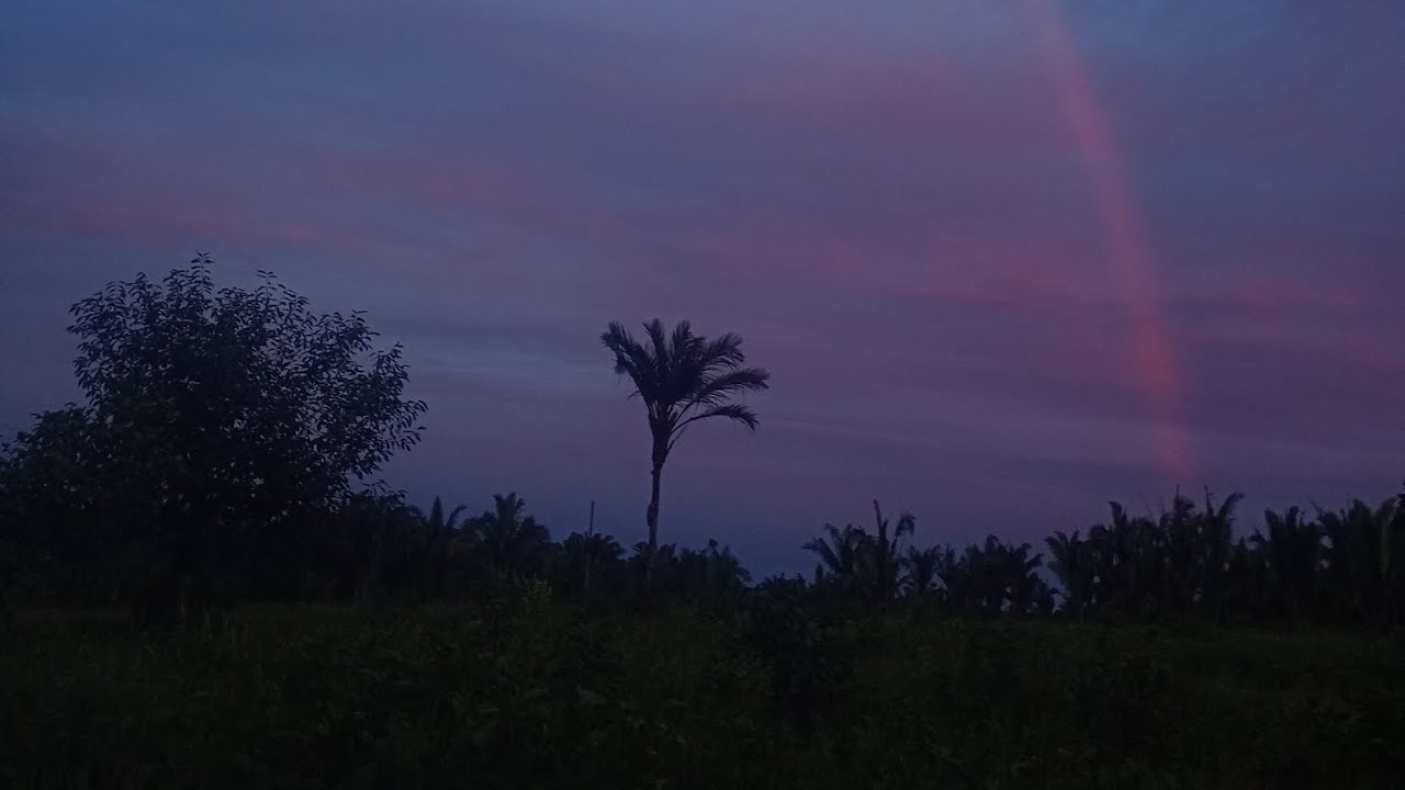 Arma 100 % segura caça no meu interior