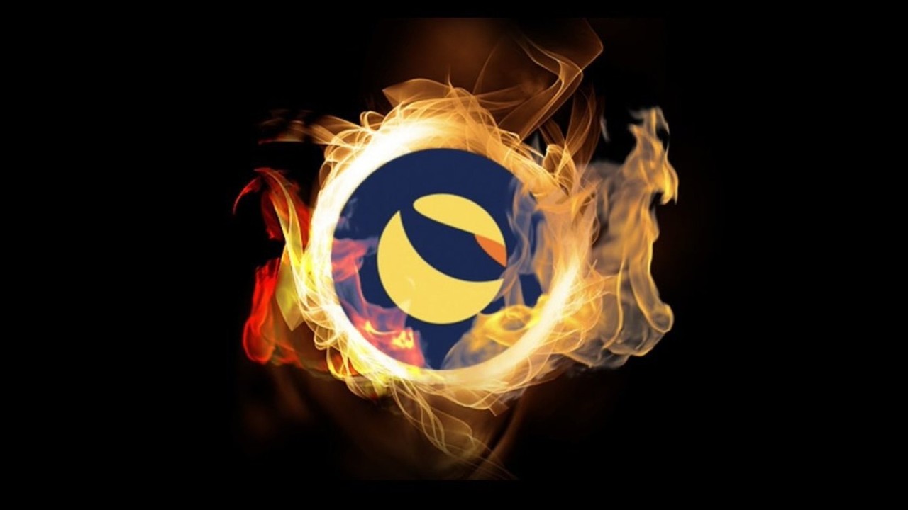 WEEX LUNC: сжигание 1 сентября и стейкинг LUNA с доходностью 35% APR