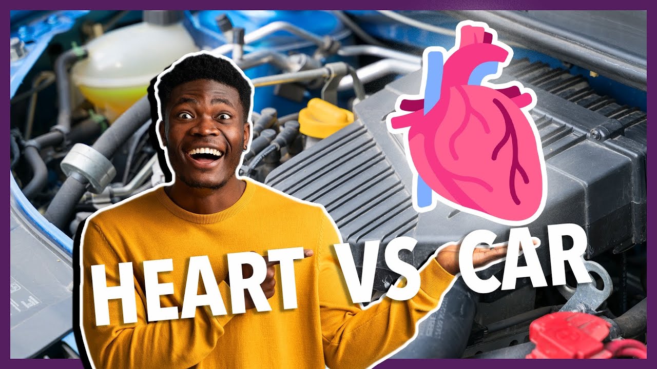 What Car Part is like the Heart?
