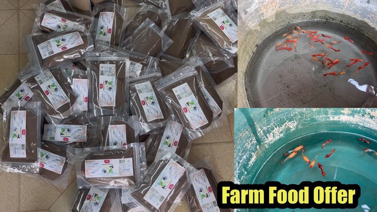 Farm Food Combo Offer|Guppy Food|Erode|AJL Aquarium |#petslovechannel 