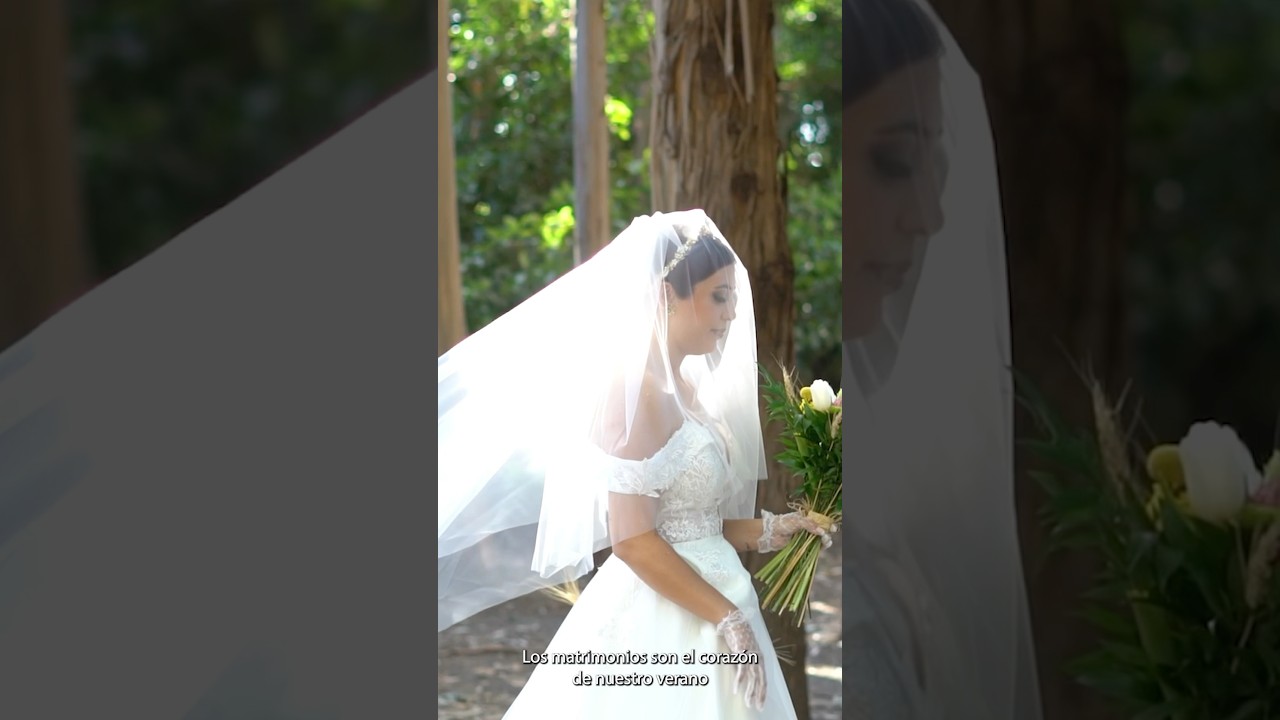 🎉 Share Media: donde los recuerdos cobran vida. 