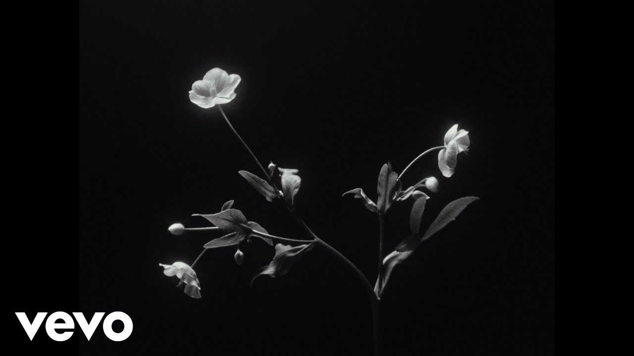 Inazio - Ganador (Video Oficial)