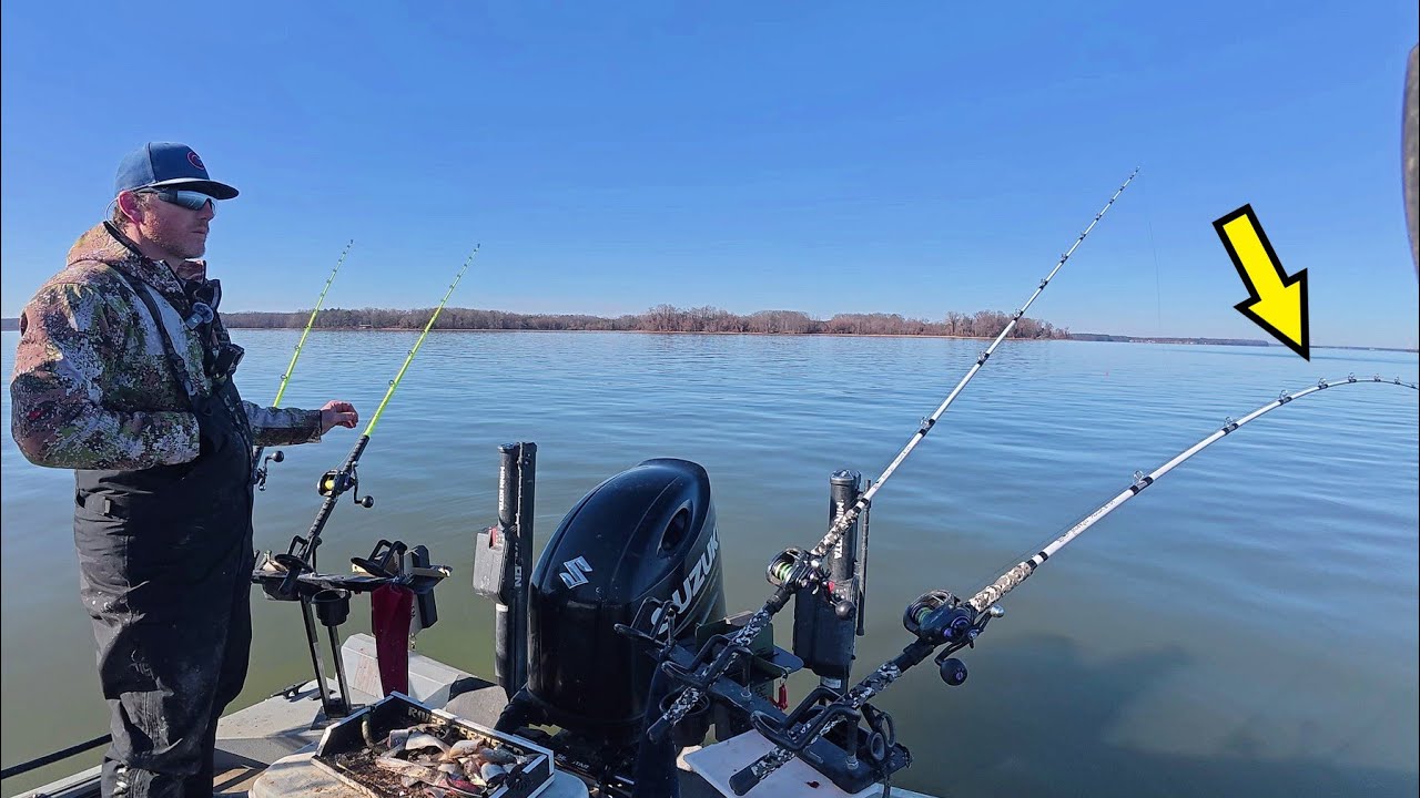 HUNGRY Fish In SHALLOW WATER!! (Bama Blues 2025)