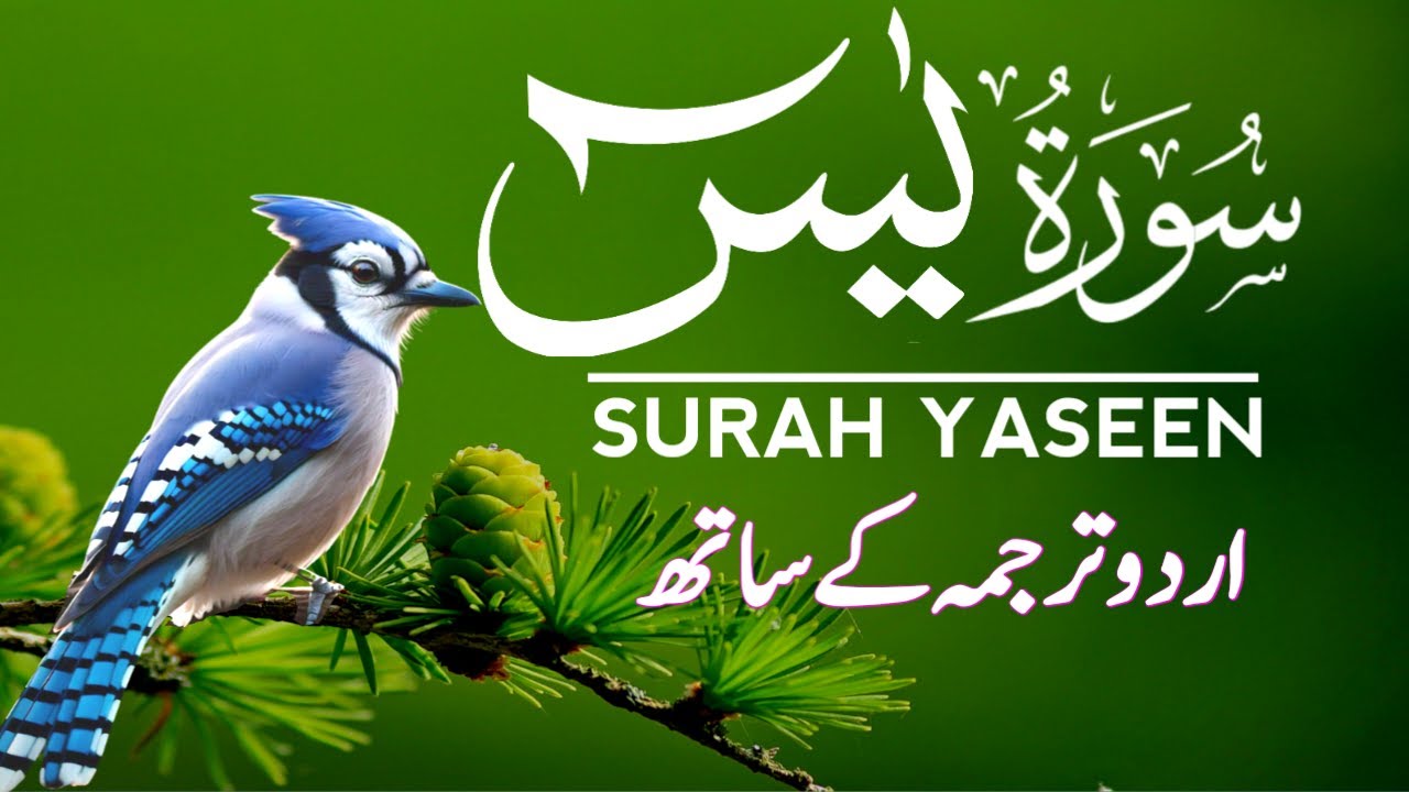 Surah Yaseen | Full Recitation With Urdu Translation | EP-126