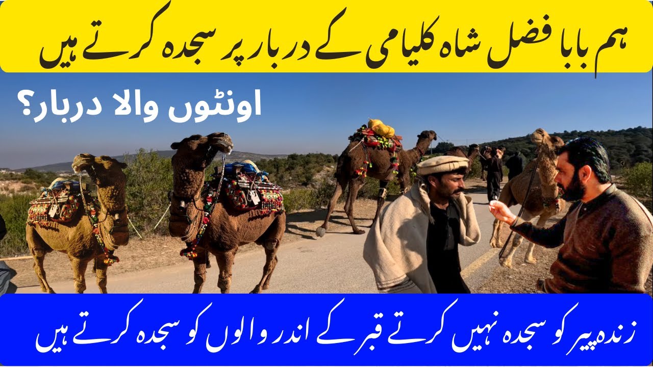Baba Fazal Shah Kalami Ka Darbar – Qabar Par Sijdah Aur Reality |kalyam sharif mela 2026