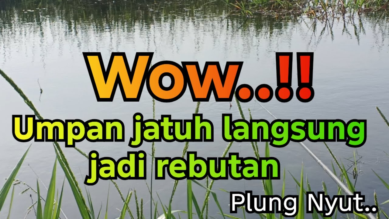 Jahanam‼️Spot gacor banyak bersarang ikan besar yang ganas | Solo Fishing