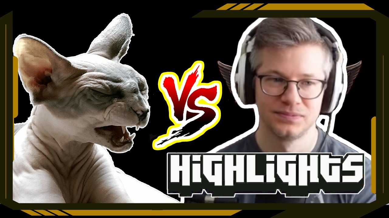 Ruetoo vs Subtractem - Path of Exile Highlights #312 - Ruetoo, Waggle, Cutedog, jungroan and others