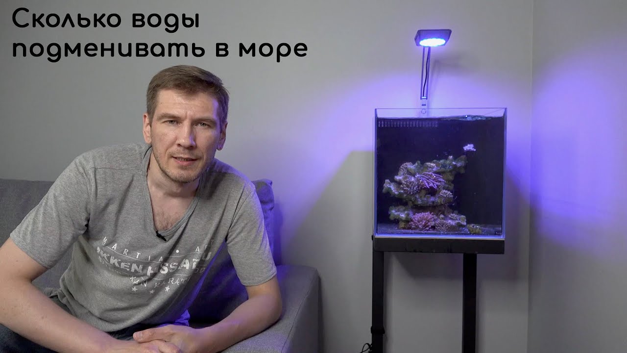 Объём подмен в морском аквариуме
