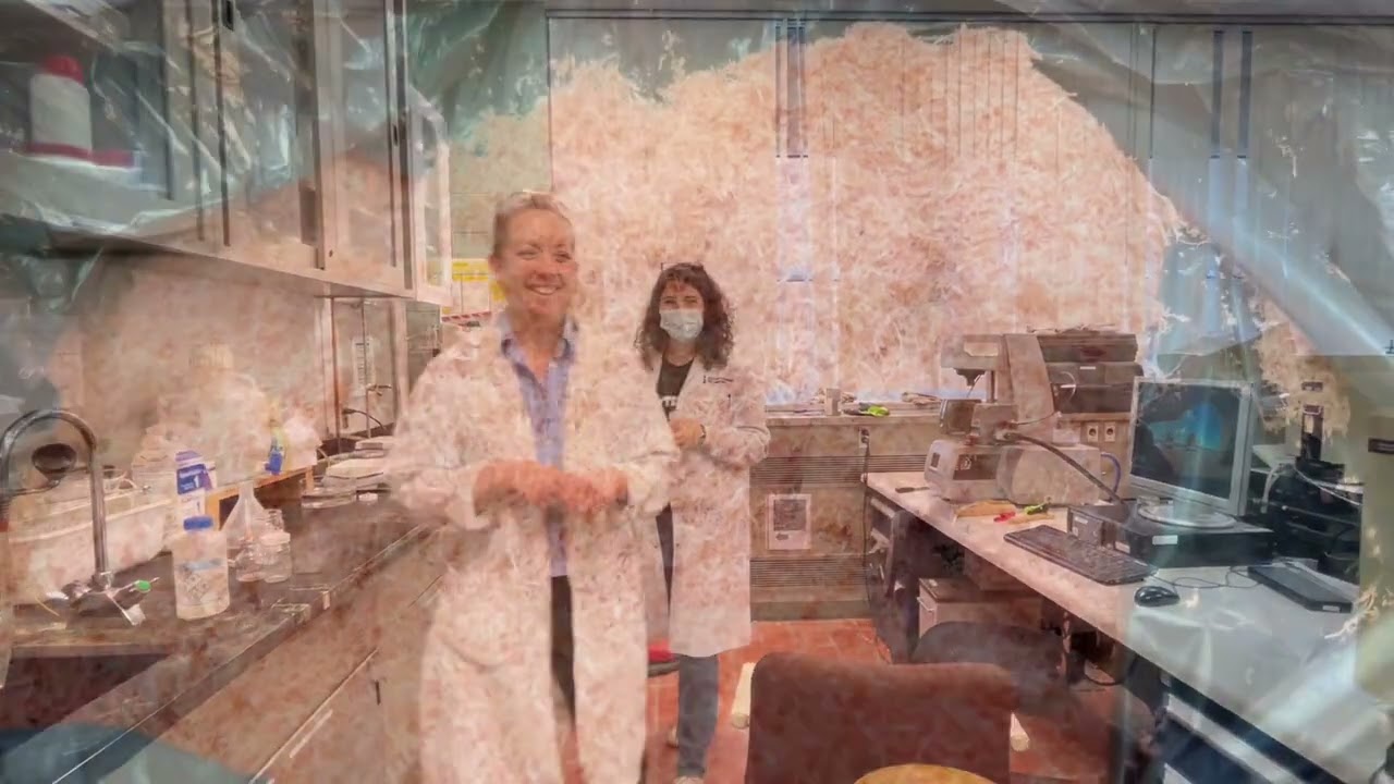 Innovating for climate action - Nets for Net Zero innovation journey with Polytechnique Montreal