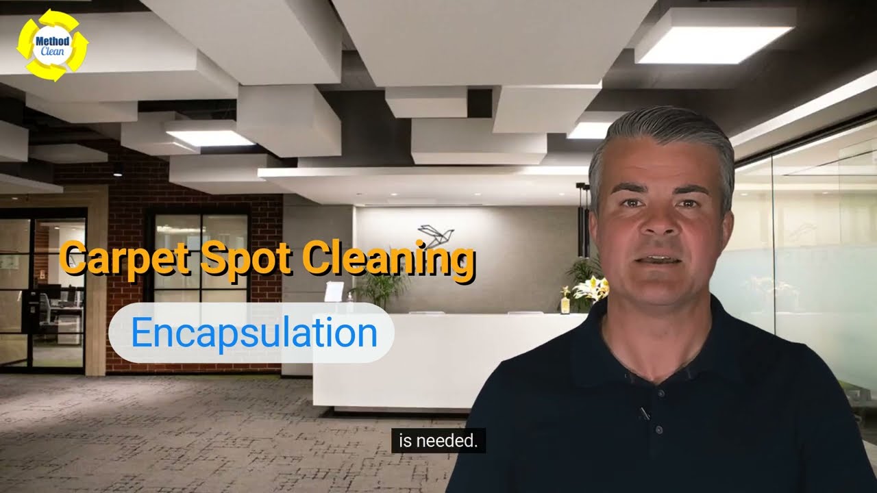 Carpet Spot Cleaning Solutions Buffalo NY