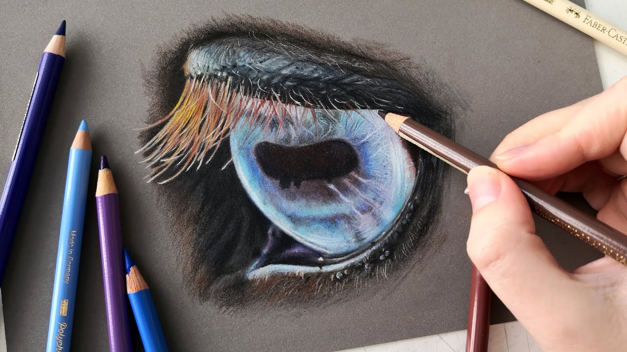 Drawing a horse eye with Colored Pencils on Pastelmat