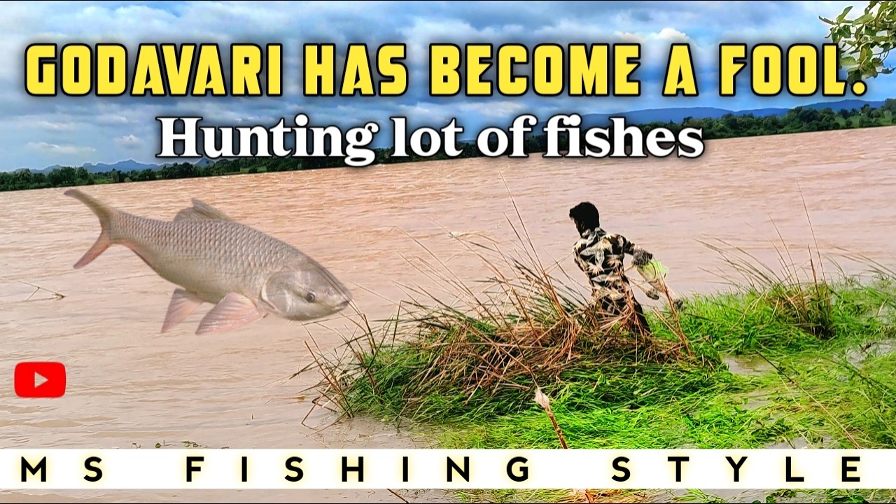Amazing Fish🐟 Catch in Godavari Flood Waters |Godavari Full Flowలో Fishing 🎣 మస్తు చేపలు పట్టేశాం.🦈🦈