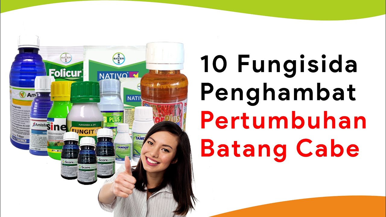 10 Fungisida Menghambat Pertumbuhan Batang Tanaman Cabe (Golongan Triazol)