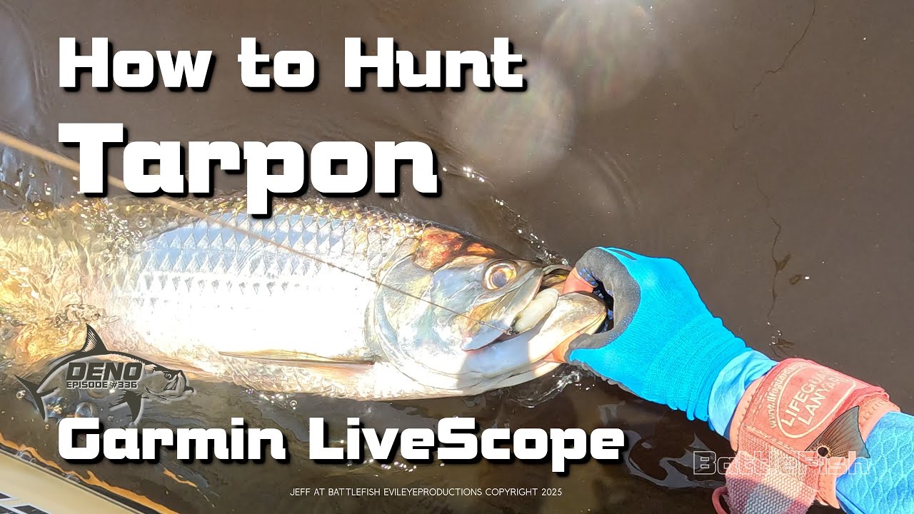 How to HUNT Tarpon and Bull RedFish on Garmin LiveScope Episode #336