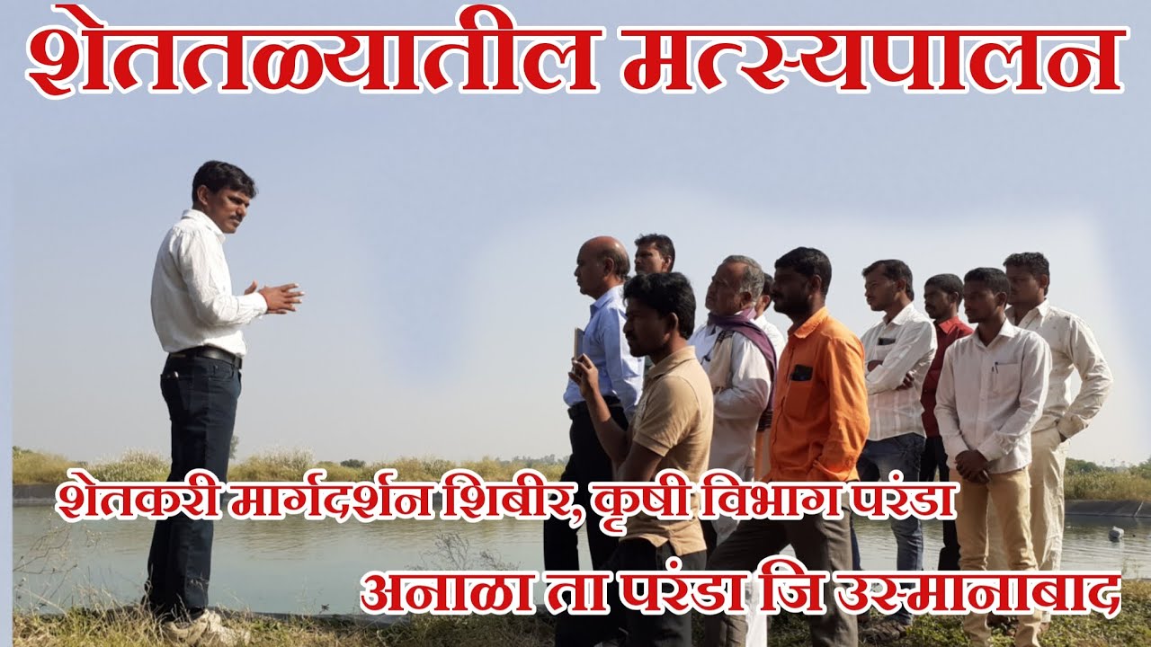 शेततळ्यातील मत्स्य पालन, shettale fish farming. Matsyapalan #PrabhuDeva