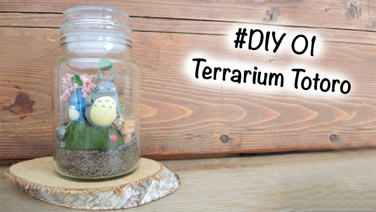 #DIY 01: Terrarium Mon Voisin Totoro