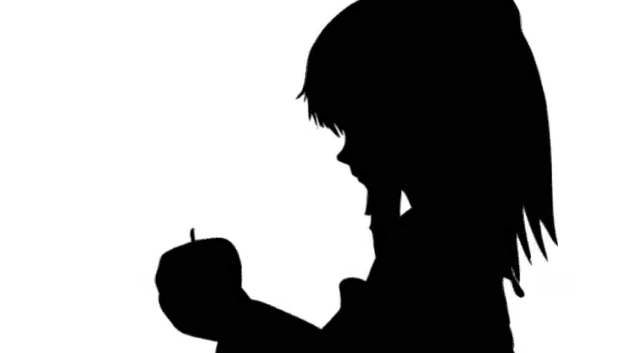 Bad Apple!!の影絵に各キャラの原曲を付けてみた。