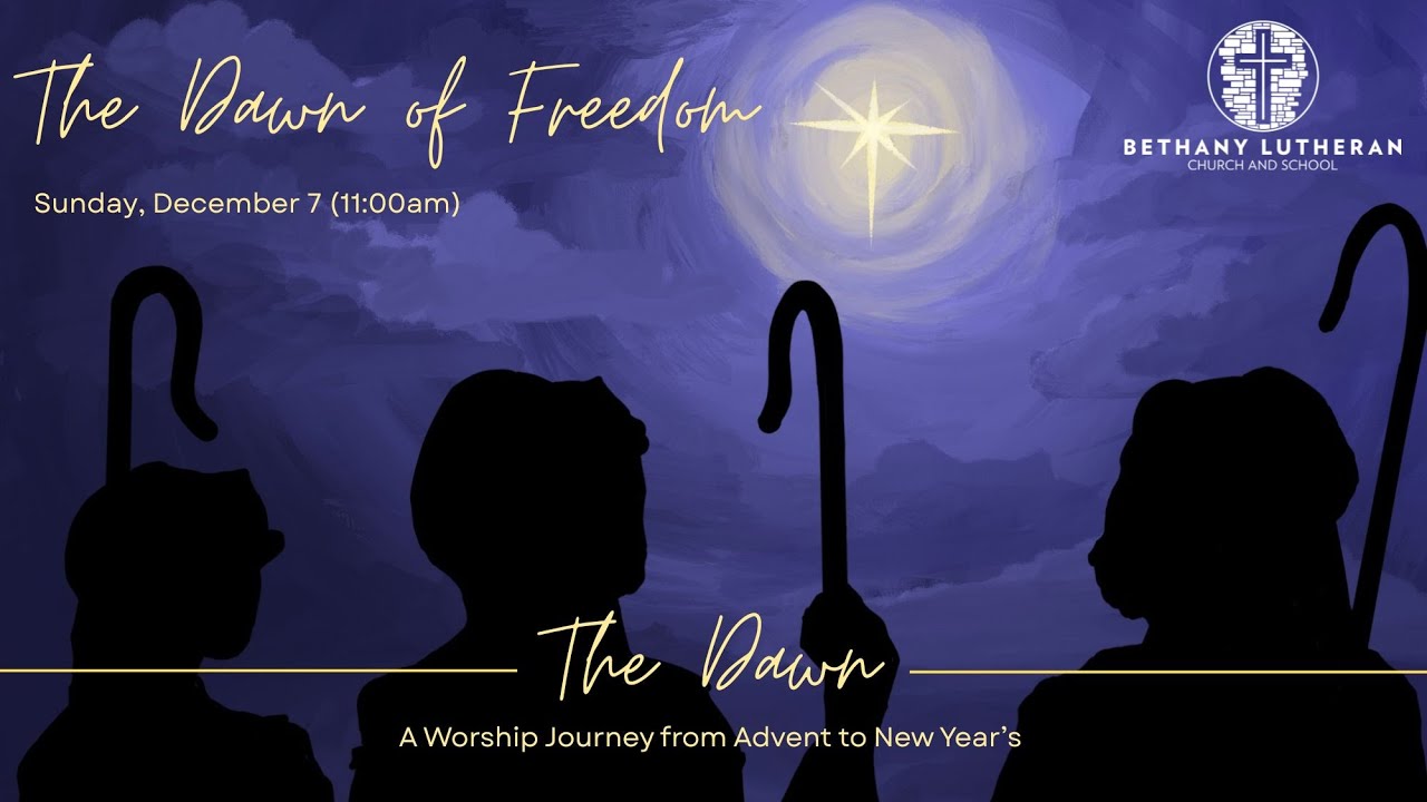 The Dawn of Freedom
