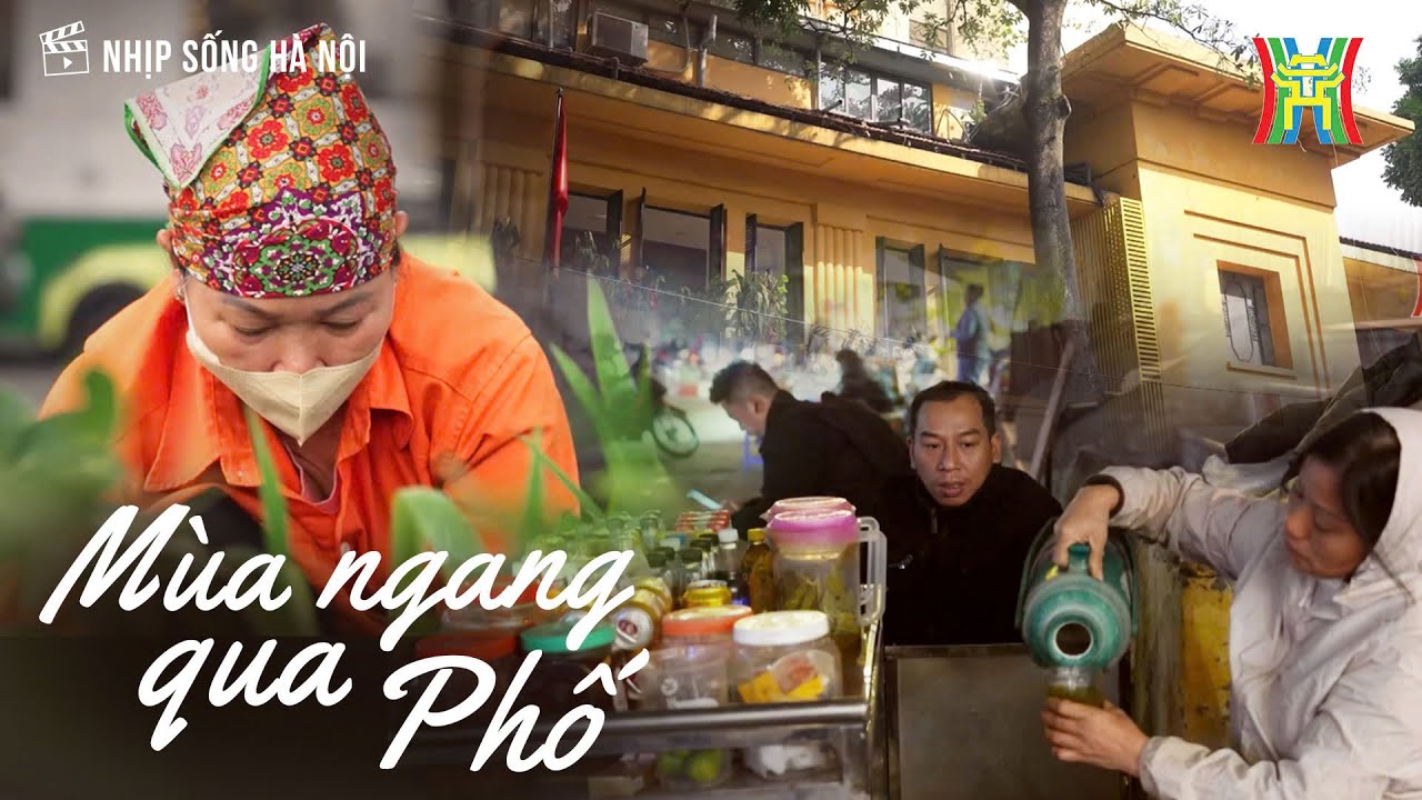 Mùa đi ngang phố: Nét đẹp của mùa đông Hà Nội | Nhịp sống Hà Nội