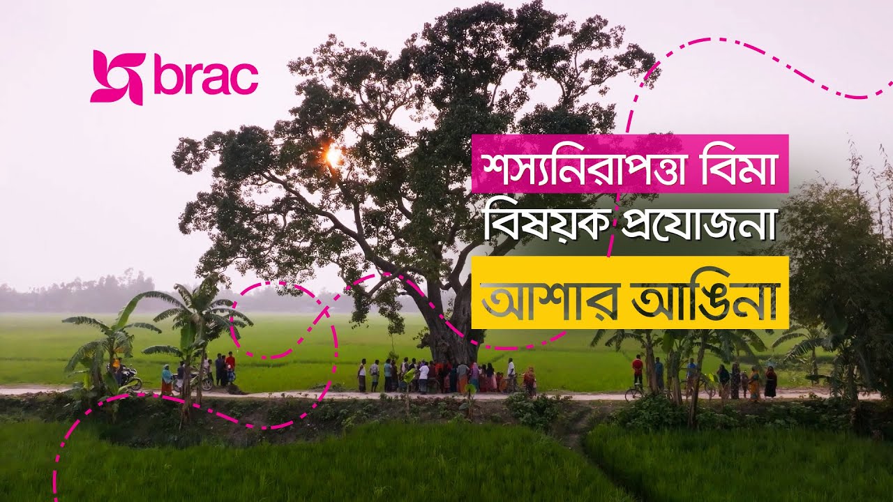 No Fear of Crop Loss | Crop Insurance | BRAC Microfinance