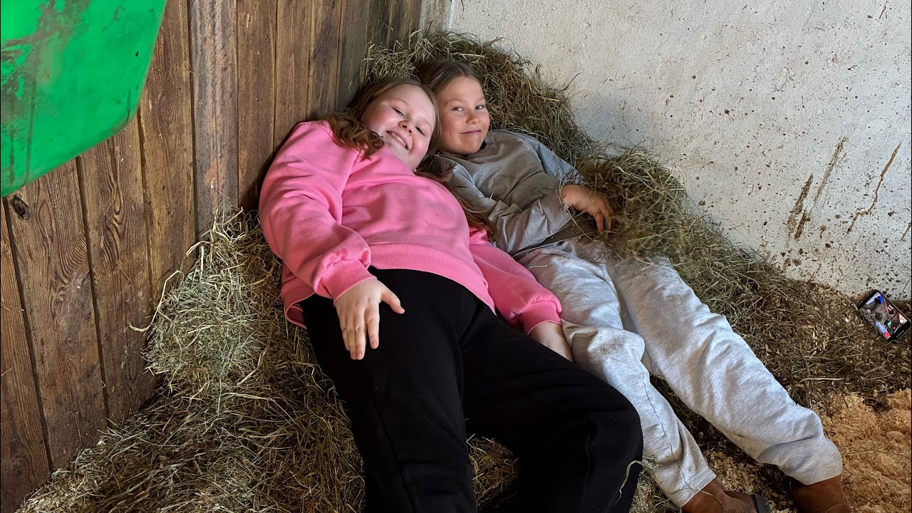 En dag i stalden ￼