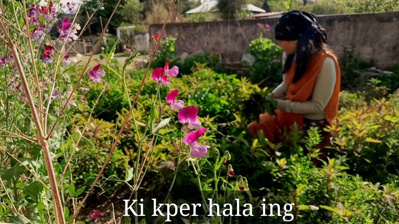 Ki jhur bad ki Syntiew bun jait ha kper ing